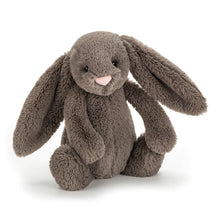 Load image into Gallery viewer, JELLYCAT BUNNY | BASHFUL TRUFFLE | MEDIUM
