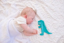 Load image into Gallery viewer, Tikiri | T-rex Scrunchie Toy
